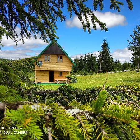 Vila Eco House Žabljak Exteriér fotografie