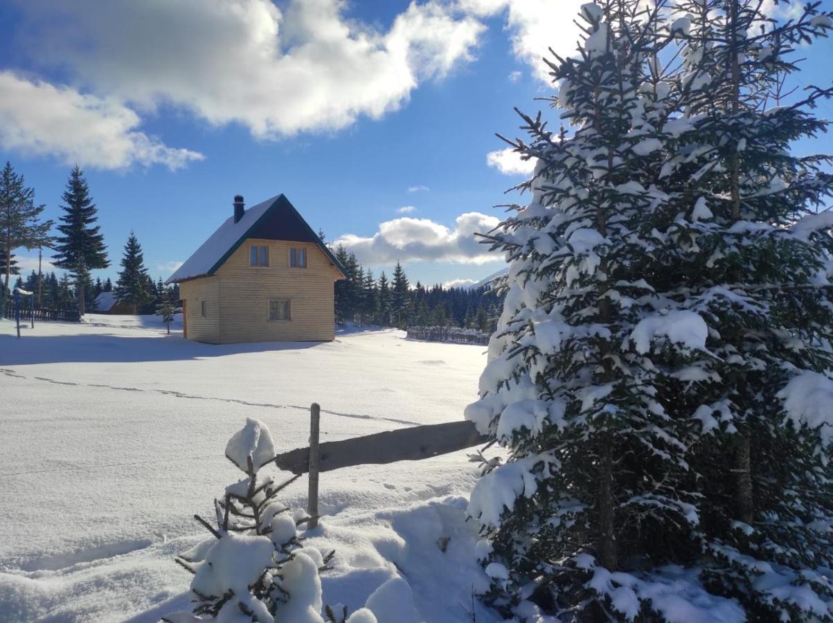 Vila Eco House Žabljak Exteriér fotografie