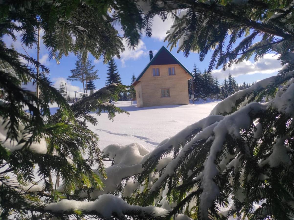 Vila Eco House Žabljak Exteriér fotografie