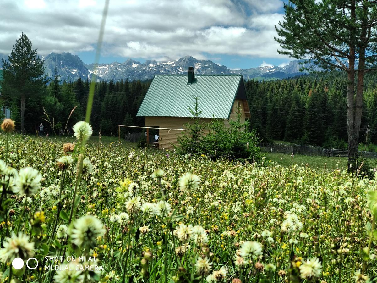 Vila Eco House Žabljak Exteriér fotografie